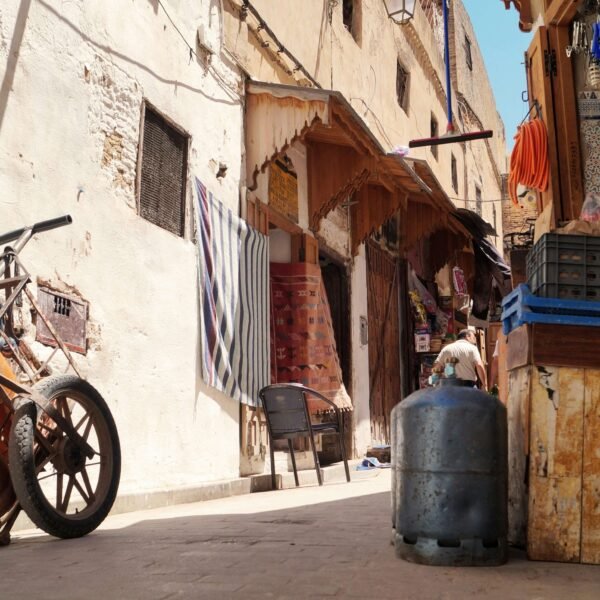 fes guide