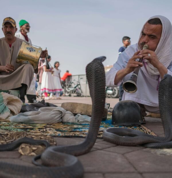 marrakech travel guide