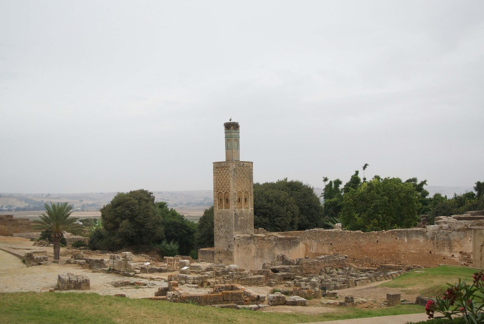 Chellah Necropolis